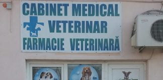 Unde găsești un medic veterinar bun, în Ploiești? Răspunsul meu la o întrebare care apare frecvent pe google 😊
