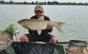 Recomand bălțile de la Fulga, locul în care chiar se prinde pește pescuit